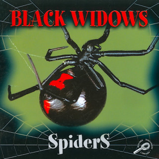 Black Widow Spiders