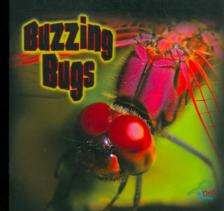 Buzzing Bugs