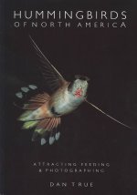 Hummingbirds of North America: Attracting, Feeding, and Photographing