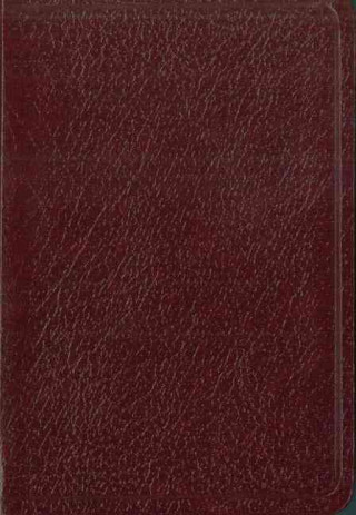 Biblia de Bolsillo-NIV = Spanish Pocket Bible-NIV