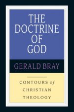 The Doctrine of God: God & the World in a Transitional Age