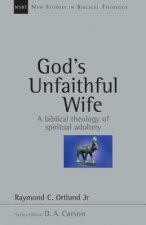 God's Unfaithful Wife: A Biblical Theology of Spiritual Adultery