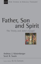 Father, Son and Spirit: The Trinity and John's Gospel