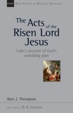 The Acts of the Risen Lord Jesus: A Biblical Theology of Incarnation