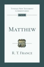 Matthew: An Introduction and Commentary
