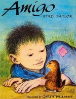 Amigo
