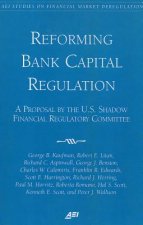 Reforming Bank Capital Regulation