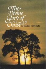 Divine Glory of Christ:
