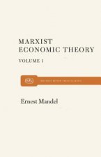 Marx's Economic Theory Volume 1