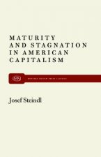 Maturity and Stagnation in American Capitalism