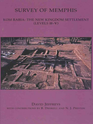 Kom Rabia: The New Kingdom Settlement (Levels II-V)