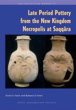 Late Period Pottery from the New Kingdom Necropolis at Saqqara
