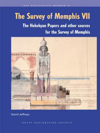 The Survey of Memphis VII