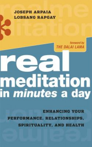 Real Meditation in Minutes a Day: Optimizing Your Performance, Relationships, Spirituality, and Health
