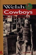 Welsh Cowboys and Outlaws