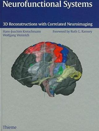 Neurofunctional Systems: 3D Reconstructions with Correlated Neuroimaging