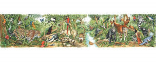 The Rain Forest Floor Puzzle