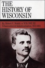 Urbanization & Industrialization 1873-1893: History of Wisconsin, Volume III