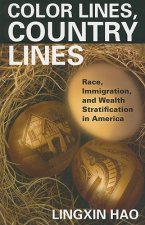 Color Lines, Country Lines: Race, Immigration, and Wealth Stratification in America