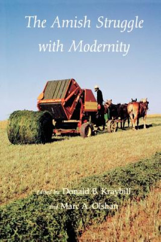 Amish Struggle with Modernity