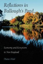 Reflections in Bullough's Pond - Economy and Ecosystem in New England