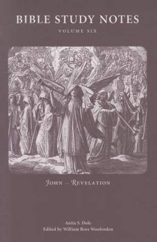 Bible Study Notes, Volume 6: John - Revelation