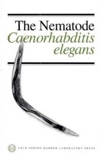 Nematode, Caenorhabditis Elegans