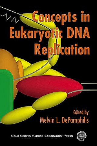 Concepts in DNA Replication