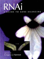 Rnai: A Guide to Gene Silencing
