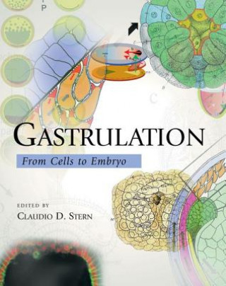 Gastrulation: From Cells to Embryo