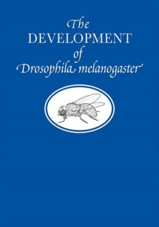Development of Drosophila Melanogaster
