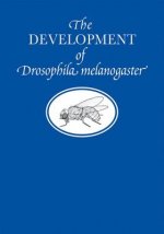 Development of Drosophila Melanogaster