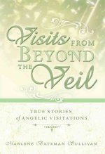 Visits from Beyond the Veil: True Stories of Angelic Visitations
