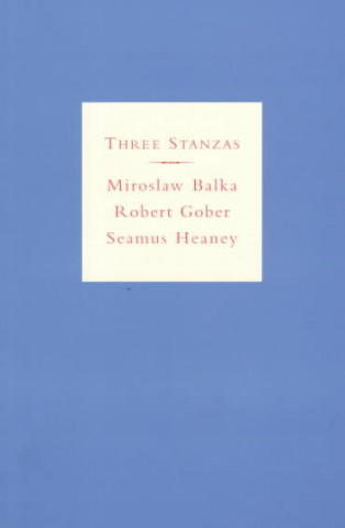 Three Stanzas: Miroslaw Balka, Robert Gober and Seamus Heaney