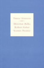 Three Stanzas: Miroslaw Balka, Robert Gober and Seamus Heaney