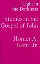 Light in the Darkness: Studies in the Gospel of John