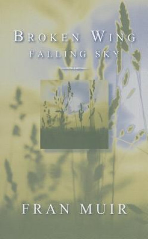 Broken Wing, Fallen Sky
