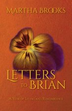 Letters to Brian: A Year of Living and Remembrance