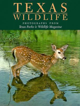 Texas Wildlife: Photographs from Texas Parks and Wildlife Magazine