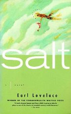 Salt Salt: A Novel a Novel