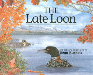 Late Loon