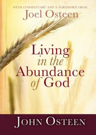 Living in the Abundance of God