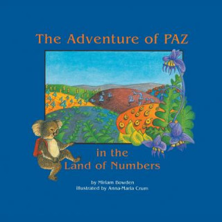 Adventure of Paz in the Land of Numbers