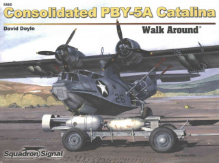 Consolidated Pby-5a Catalina Walk Around