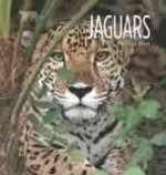 Living Wild: Jaguars