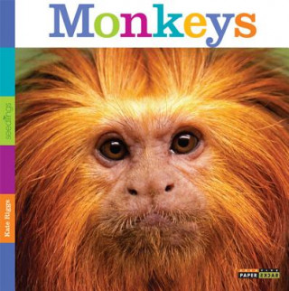 Seedlings: Monkeys