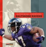 Super Bowl Champions: Baltimore Ravens