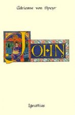 The Discourses of Controversy: Meditations on John 6-12