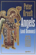 Angels and Demons: What Do We Really Know about Them?