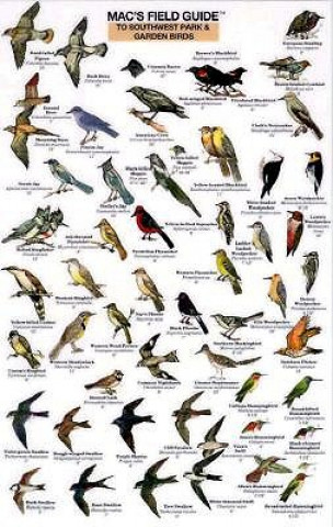 Mac's Field Guide to Southwest Park/Garden Birds